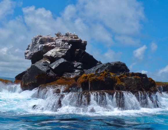 Explora el Mar