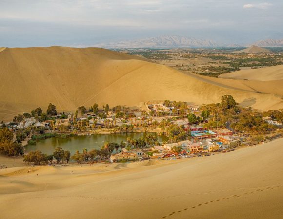 Descubre Oasis