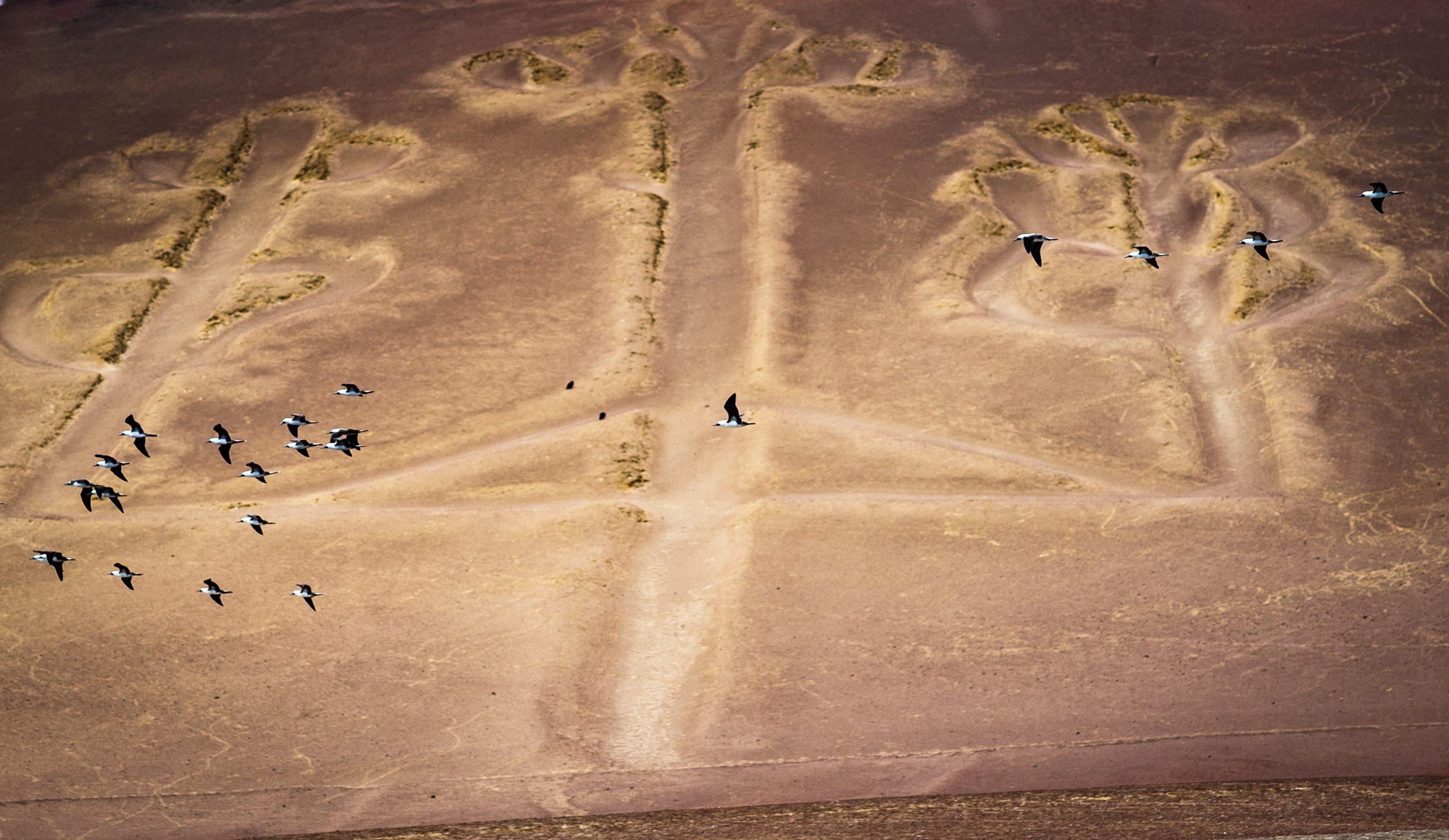 Nazca