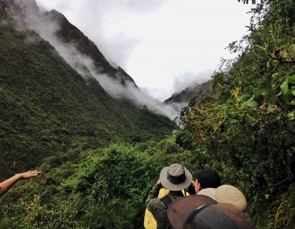 Camino Inca